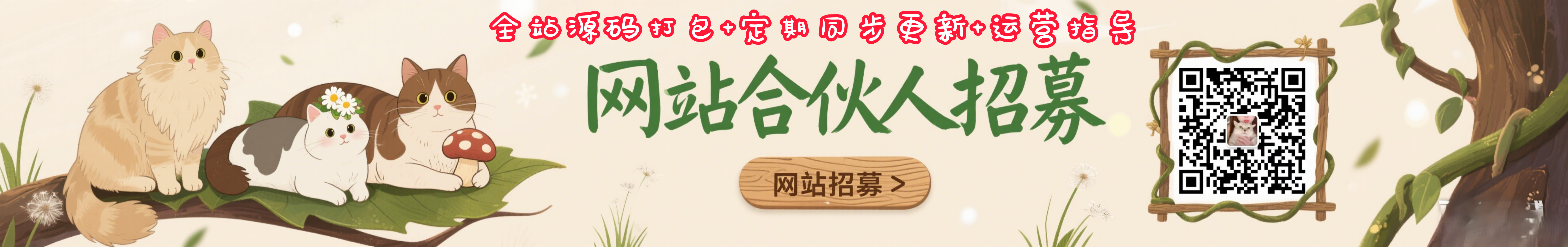 网站加盟，建设属于自己的网站，轻松实现财富自由